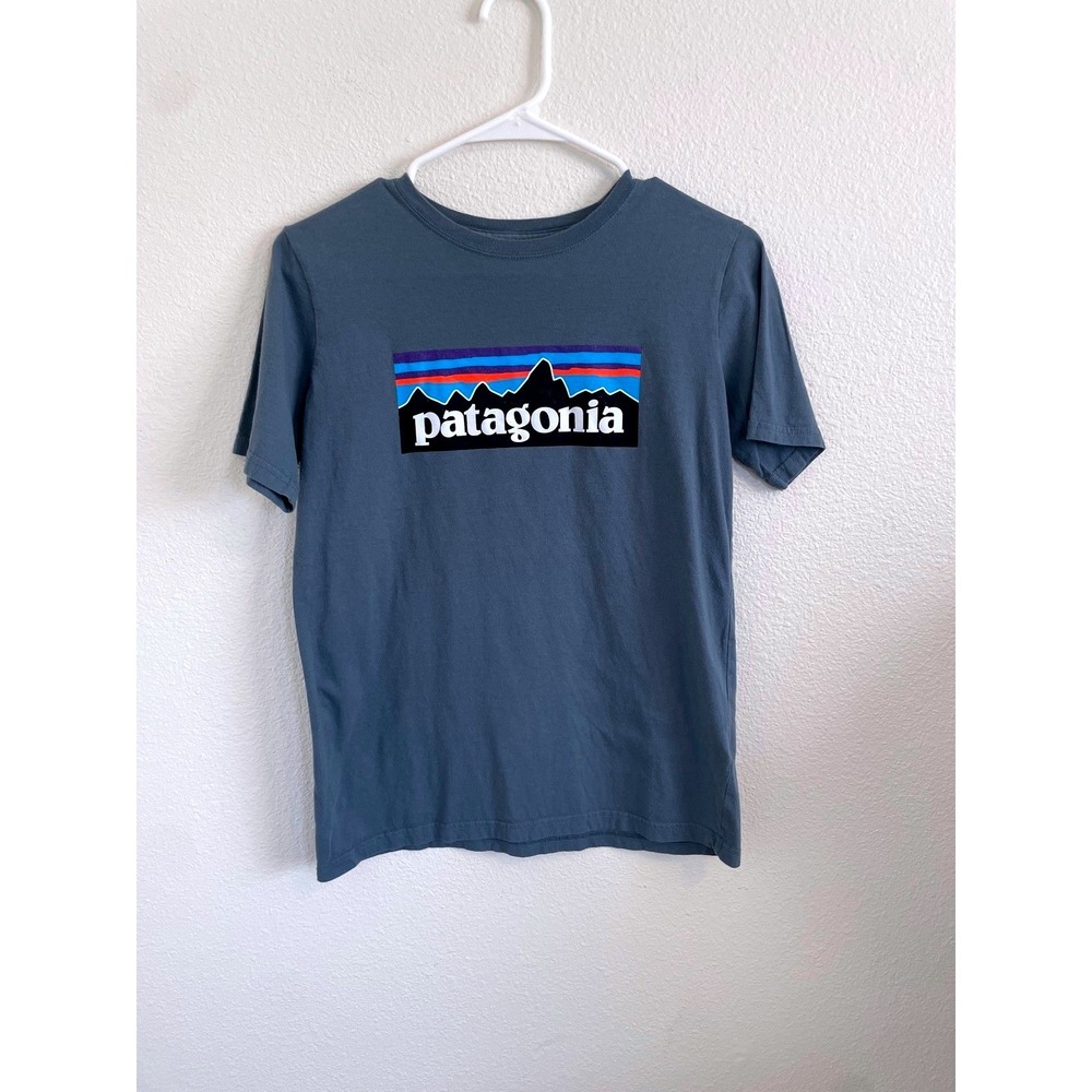 Kids Patagonia T Shirt‎ Blue Mountains Logo Graphic Size XL 14 Hiking Mountains